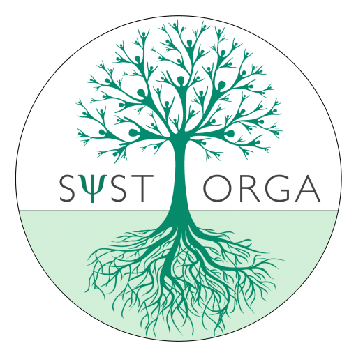 logo de SystOrga cabinet de conseil en management des Organisations et prévention des risques psycho-sociaux
